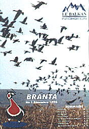 Branta N1